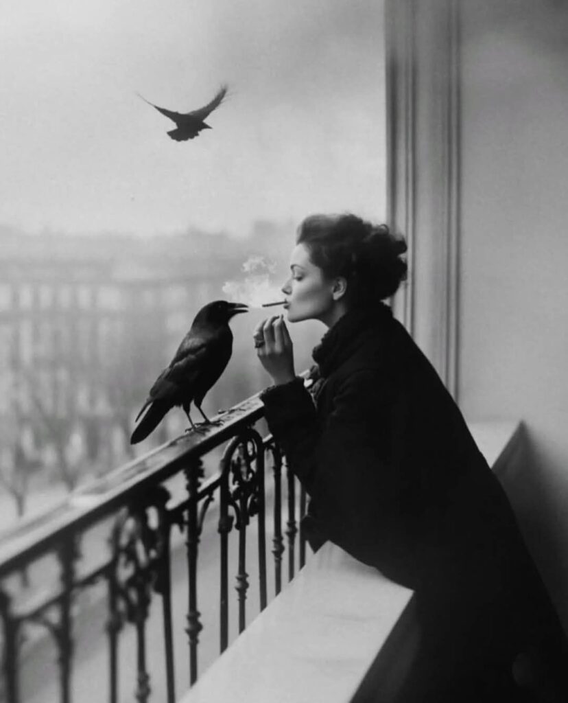 1e956e884b6b16d7e3da78c3ad144af4